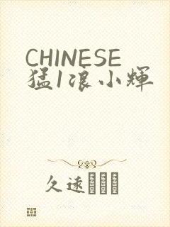 CHINESE猛1浪小辉