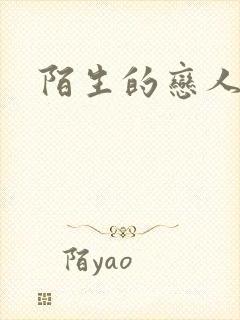 陌生的恋人小说