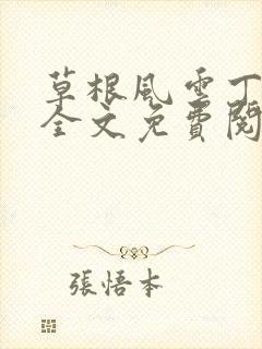 草根风云丁长生全文免费阅读