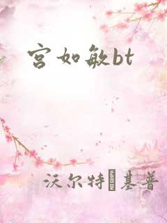 宫如敏bt