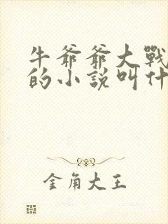 牛爷爷大战小丽的小说叫什么
