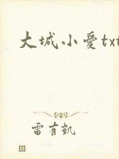 大城小爱txt