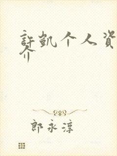 许凯个人资料简介