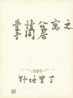 爱情公寓之与杀手同居