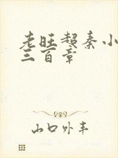 老旺超秦小雨第三百章