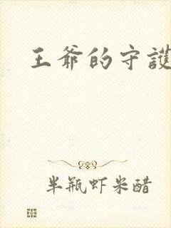 王爷的守护男妃