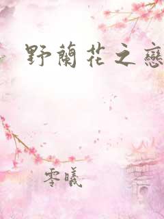 野兰花之恋