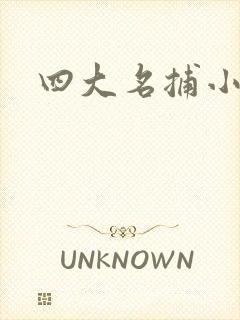 四大名捕小说