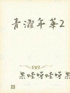 青涩年华2