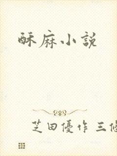 酥麻小说