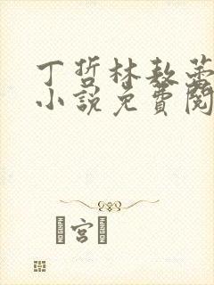 丁哲林敖蕾主角小说免费阅读笔趣