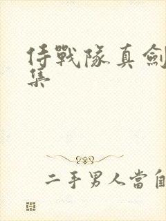 侍战队真剑者全集
