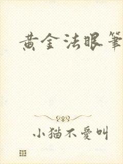 黄金法眼笔趣阁