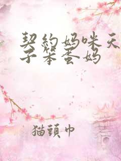 契约妈咪天才儿子笨蛋妈