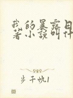 我的暴露日记原著小说叫什么