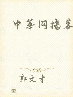 中华网揭幕内参