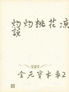 灼灼桃花凉 小说