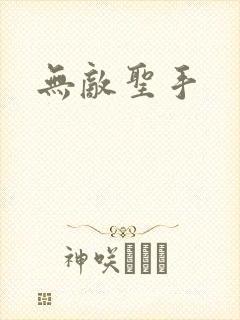无敌圣手