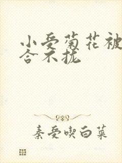 小受菊花被双龙合不拢