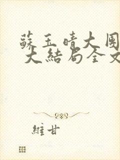 苏玉晴大团圆6 大结局全文