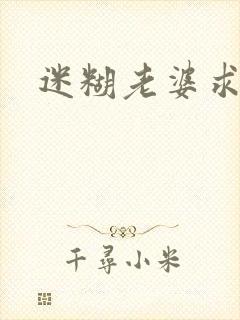 迷糊老婆求错婚