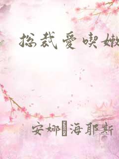 总裁爱吃嫩豆腐