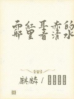 面红耳赤的小说哪里看清水村花