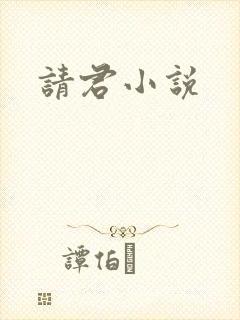 请君小说
