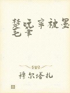 楚晚宁被墨燃塞毛笔