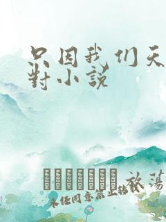 只因我们天生一对小说