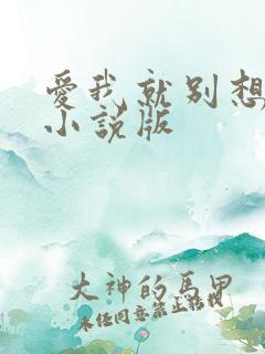 爱我就别想太多小说版