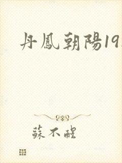丹凤朝阳19楼