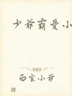 少爷霸爱小丫头