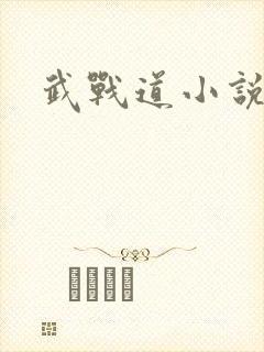武战道小说