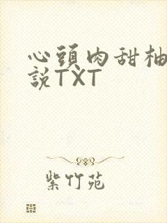 心头肉甜柚子小说TXT