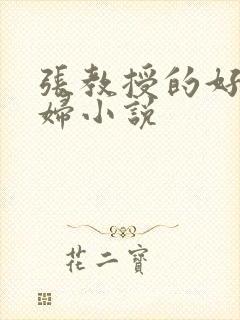张教授的好儿媳妇小说