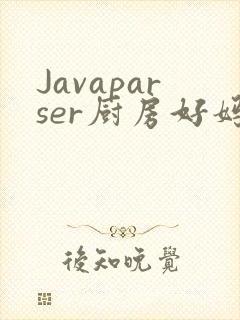 Javaparser厨房好妈妈