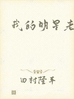 我的明星老豆