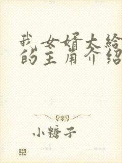 我女婿太给力了的主角介绍