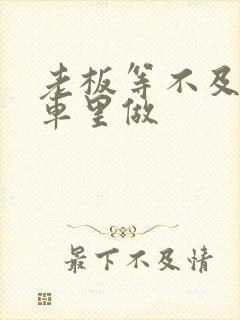 老板等不及了在车里做