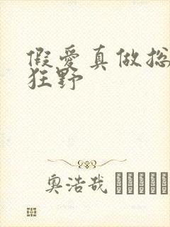 假爱真做总裁太狂野