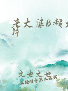 老大婆B超大图片