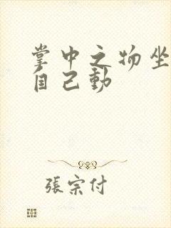 掌中之物坐上来自己动