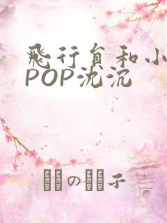 飞行员和小空乘POP沈沉