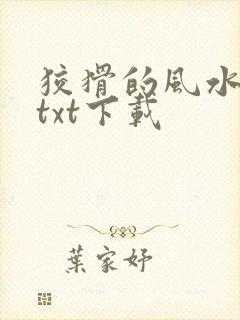 狡猾的风水相师txt下载