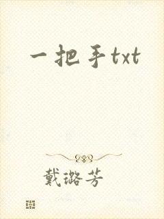 一把手txt