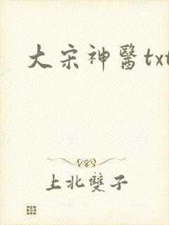 大宋神医txt