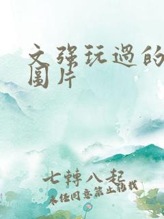 文强玩过的女人图片