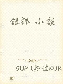 银狐 小说
