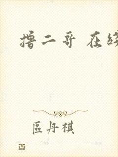 撸二哥 在线